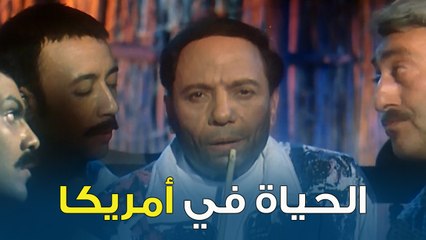 كيف بتخيلوا الشباب الحياة في أمريكا  | هاللو أمريكا