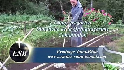 Communion Manducaverunt du Dimanche de la Quinquagésime - Ermitage Saint-Bède - Ciné Art Loisir.by  Jean-Claude Guerguy