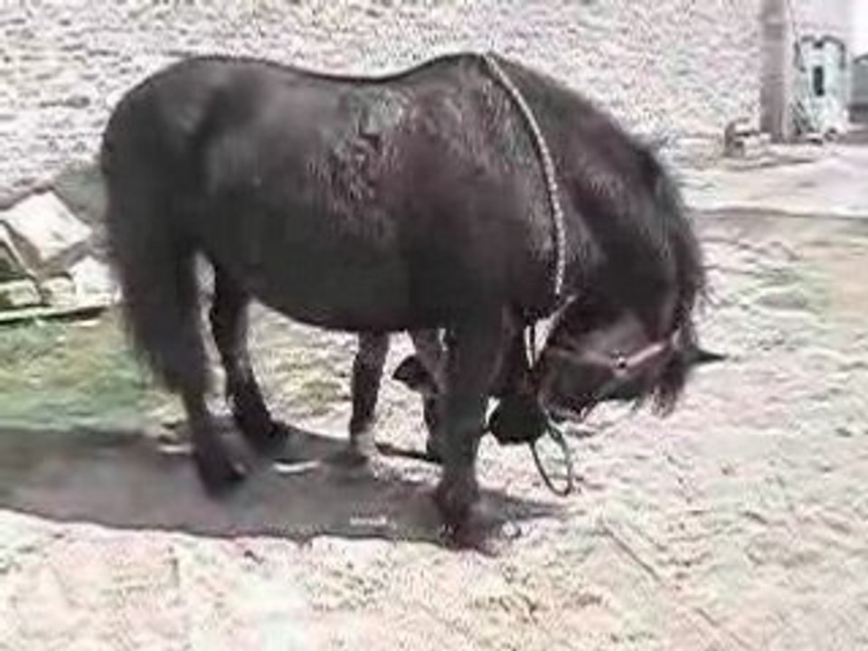 DSCN2497