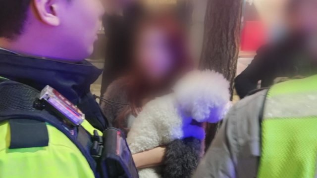 배달기사 치어 숨지게 한 20대 만취 벤츠 운전자 구속영장 / YTN