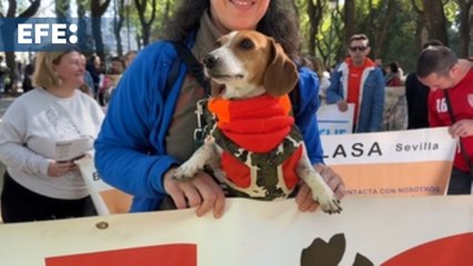 Manifestación en Sevilla para pedir la prohibición de la caza con perros