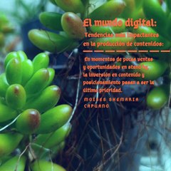 Moises Shemaria Capuano| El mundo digital (parte 1)