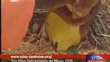 Angola - Miss Minas