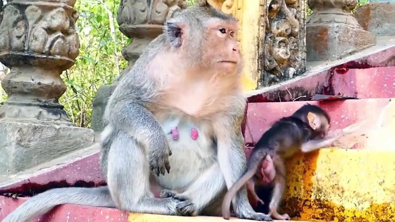 Sad heart, mother Emila warn, that is  disturbing her, baby try to go away from this action (720p_30fps_H264-192kbit_AAC)