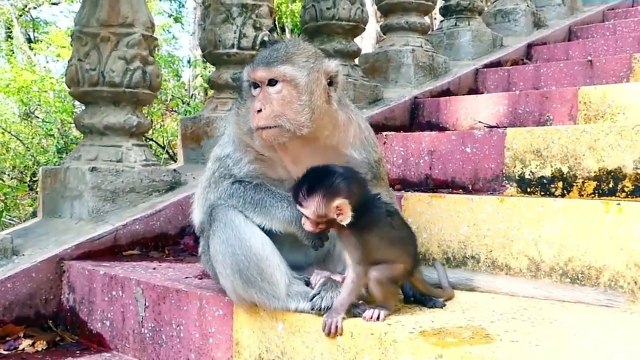 Sad heart, mother Emila warn, that is disturbing her, baby try to go away from this action (720p_25fps_H264-192kbit_AAC)