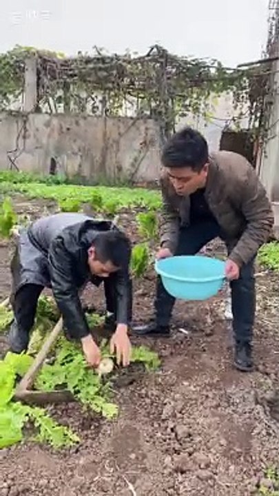 Funny video