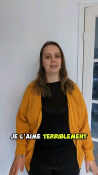 Les Bergers des Shetland !