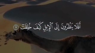 أَفَلَا يَنظُرُونَ إِلَى الْإِبِلِ كَيْفَ خُلِقَتْ) سورة الغاشية الشيخ عبد الباسط عبد الصمد) #قران_كريم   #quran_alkarim