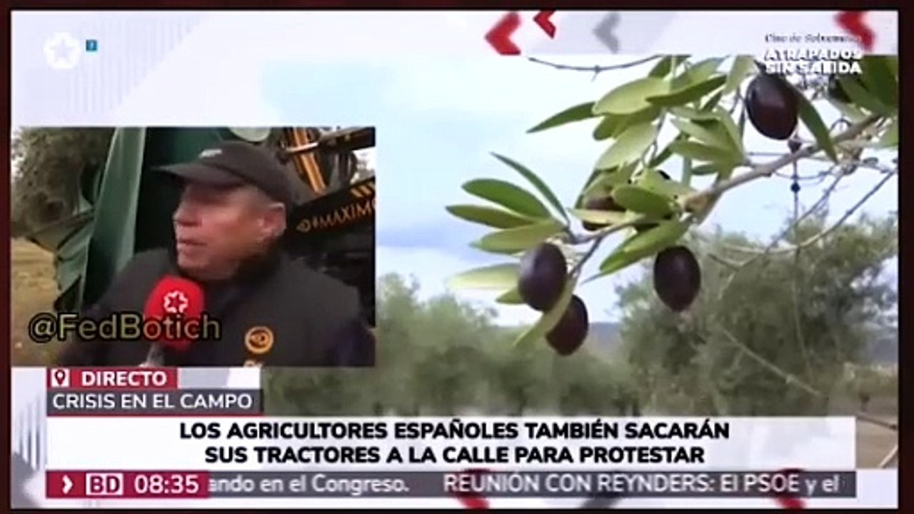 Así nos empobrecen las políticas verdes