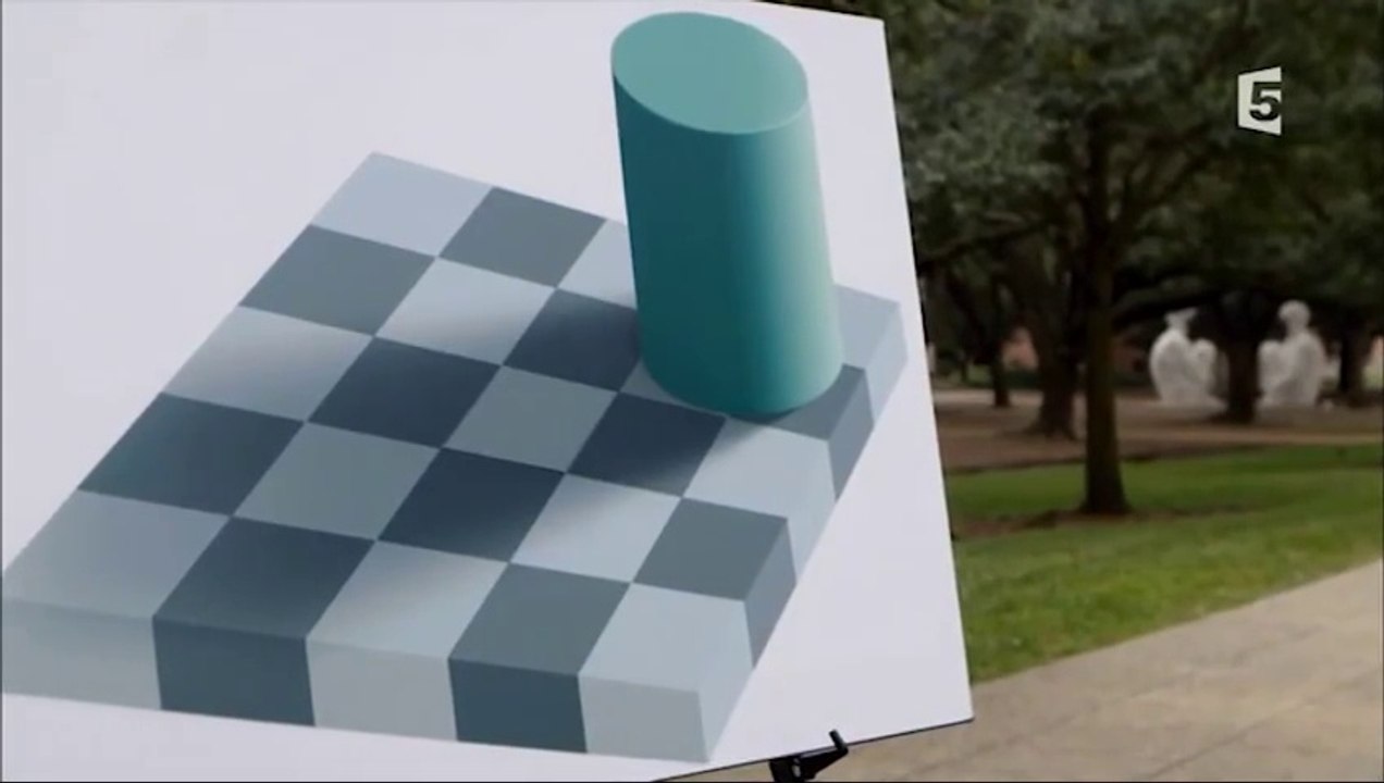 Notre cerveau crée l'illusion de la réalité