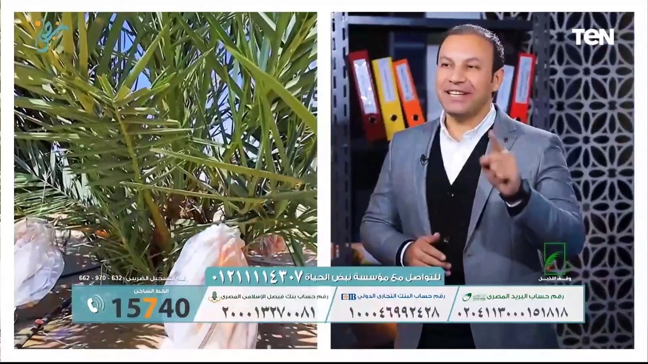 أبرز جهود مؤسسة نبض الحياة.. وأفضل طرق التخلص من الوزن الزائد | بنت البلد