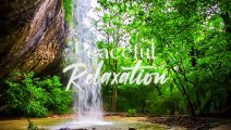 Forest Water Stream Nature Sound & Beautiful Relaxing Music For Stress Relief, Claming Music