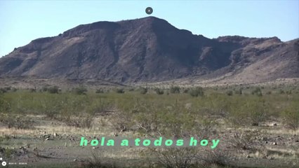 Las serpientes cascabel en Arizona