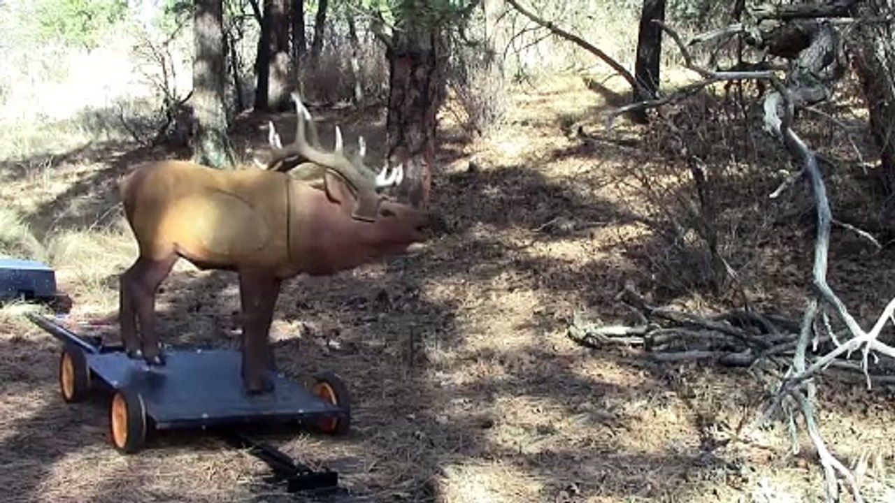  Archery N Motion: Targets in Motion Bullseye Bonanza!  #PrecisionArchery #EveryShotCounts