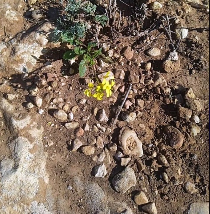 نشاط مغربي مع طبيعة