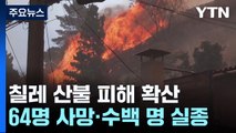 칠레 산불 피해 확산...