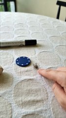 VFX Artist Creates a Very Well-Trained Fly