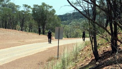 Five people killed on Northern Territory roads overnight