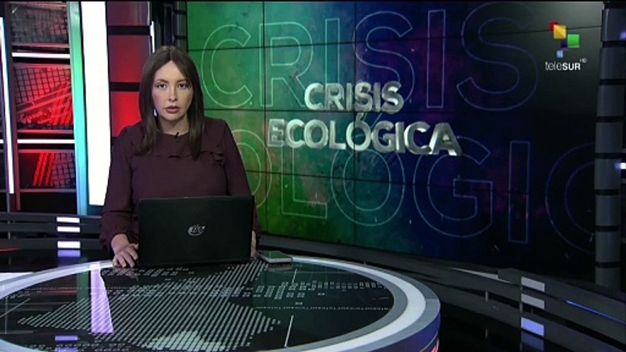 Chile: Ascienden los fallecidos por incendio forestal