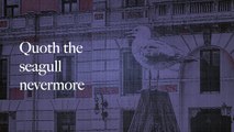 Pamela Storch - A Seagull in Venice Poem (Official Lyric Video)