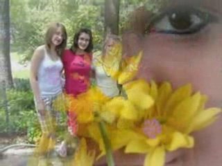 The Last Goodnight - Picture of you