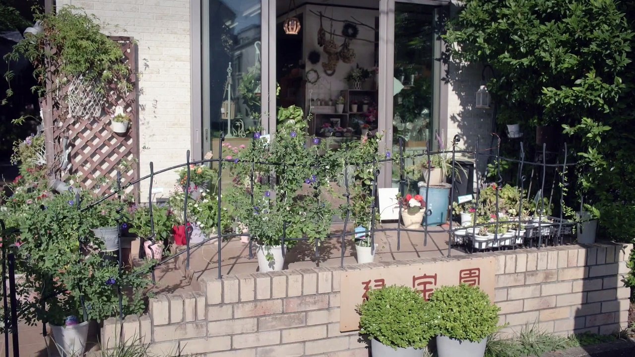 퍼펙 2