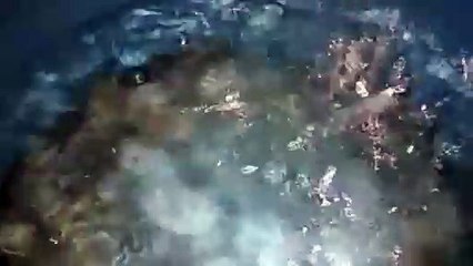 Water as the Source of Life