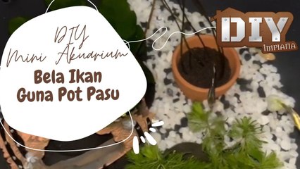 DIY Akuarium Mini, Bela Ikan Dalam Pot Pasu