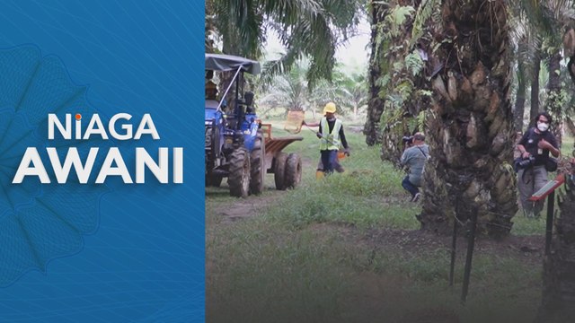 Niaga hadapan MSM dijangka diniagakan tinggi minggu ini