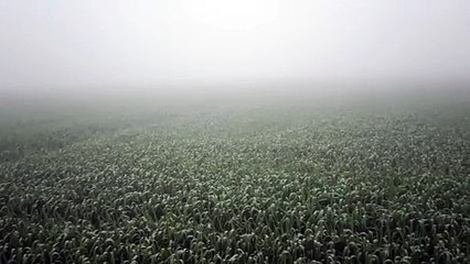 प्रदेश में मावठ का दौर, कई जगह छाया कोहरा