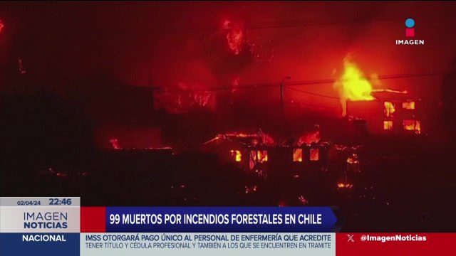 99 muertos por incendios forestales en Chile