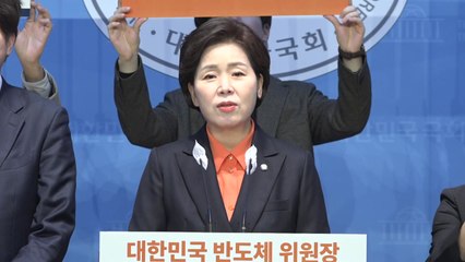 개혁신당 양향자, 용인갑 출마 선언..."반도체 수도로" / YTN