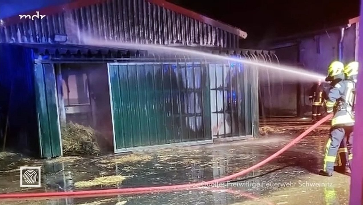 Kripo Live vom 04.02.2024