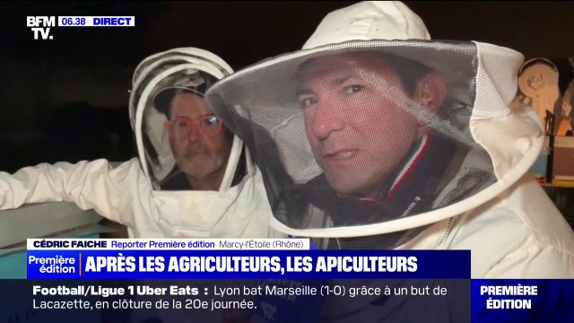 C'est une catastrophe, un retour en arrière : un apiculteur dénonce la mise en pause du plan Ecophyto, obtenue par les agriculteurs