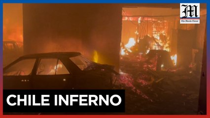 Wildfires in Chile leave more than 50 dead