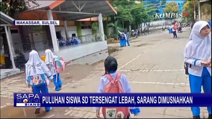 Petugas Damkar Musnahkan Sarang Lebah yang Menyerang Puluhan Siswa SD di Makassar