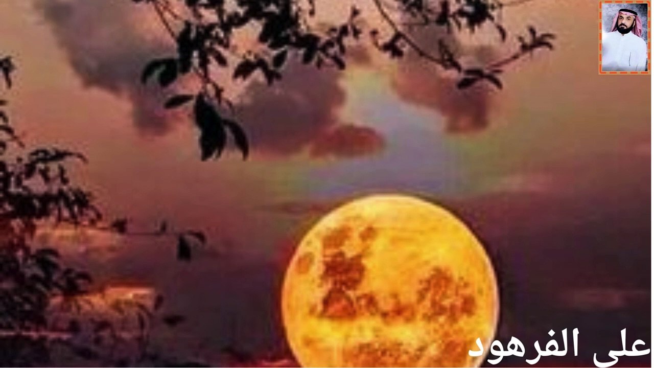 تلاوة هادئة تريح القلب