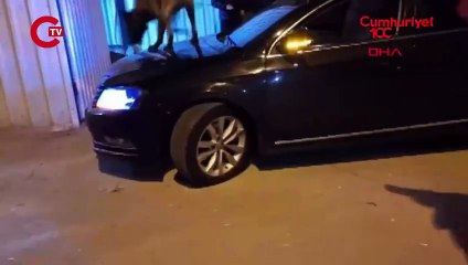 Otomobilin motor bölümünden 3 kilo kokain çıktı