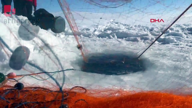 Çıldır Gölü'nde Eskimo usulü balık avı