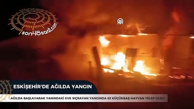 Eskişehir'de ağılda başlayan yangında 63 küçükbaş hayvan telef oldu
