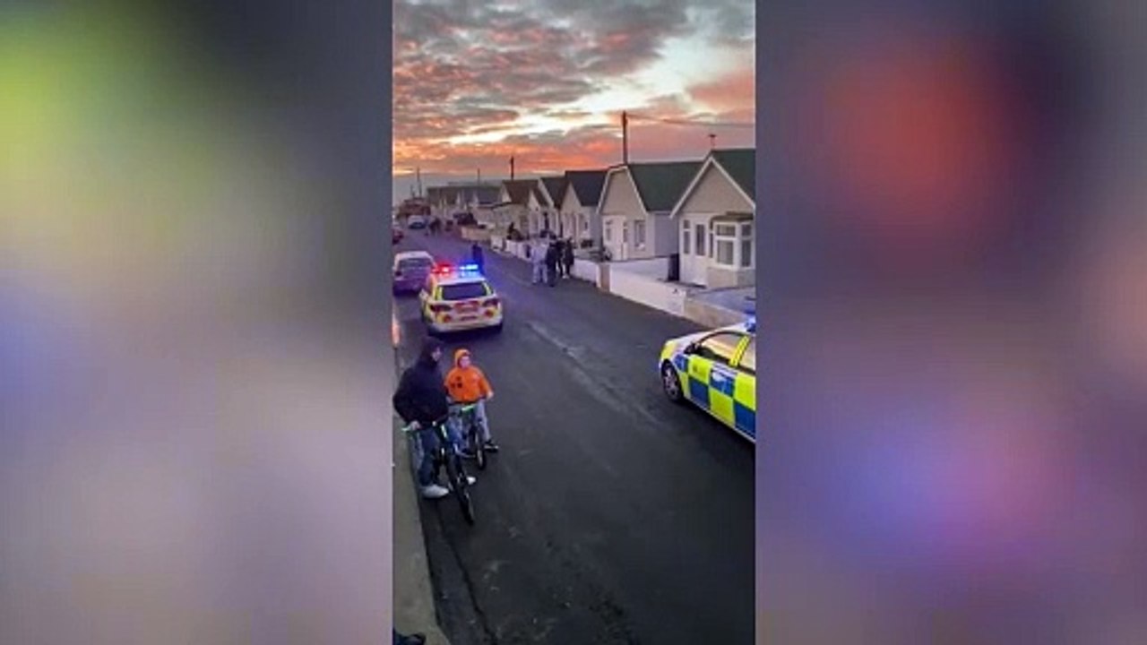 Street cordoned off after dog attack