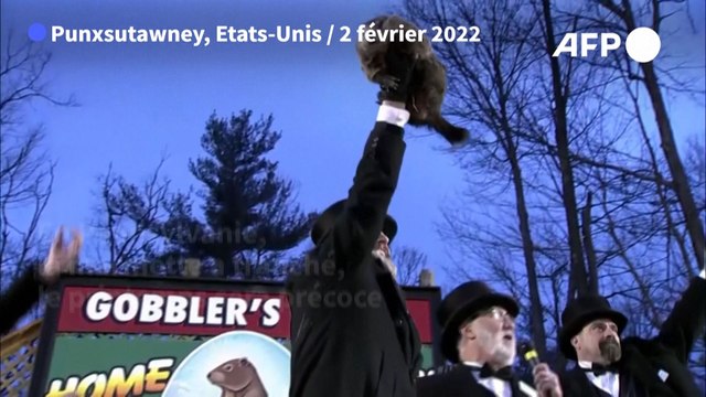 La marmotte météorologue américaine prédit un printemps précoce