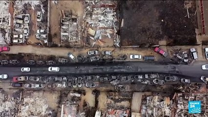 Le Chili dévasté par des incendies de forêt meurtriers