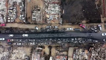 Waldbrände in Chile: Ganze Landstriche in Schutt und Asche
