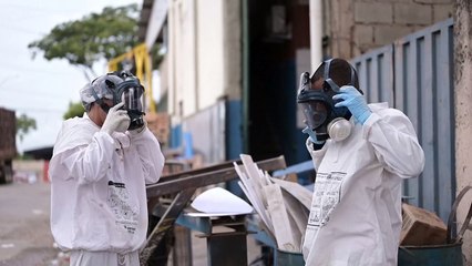 Brasil enfrenta explosão de casos de dengue