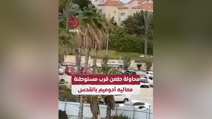 محاولة طعن قرب مستوطنة معاليه أدوميم بالقدس