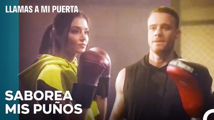 La Pelea De Boxeo De Eda Y Serkan - Llamas A Mi Puerta