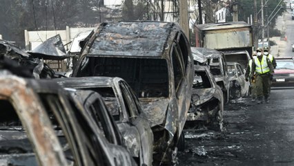 Waldbrände in Chile: Ganze Landstriche in Schutt und Asche