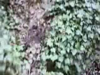 RAID EURE 2008 - RUN & BIKE