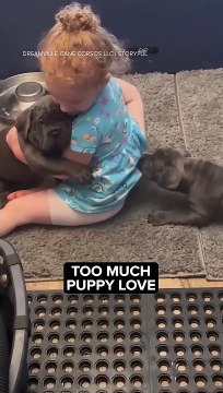 This little girl had her hands full with these two adorable puppies